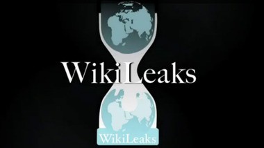 wikileaks image 380
