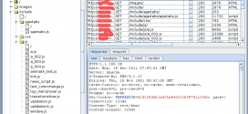 Burp Suite V1.5