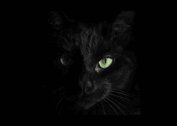 BlackCat Ransomware aka “ALPHV” infections on the rise