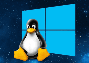 Windows Subsystem for Linux