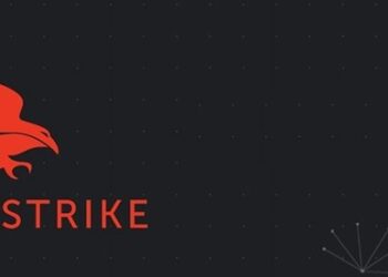 Photo of CrowdStrikes logo after the global outage that took the internet down