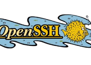 Photo of the OpenSSH logo puffer fish